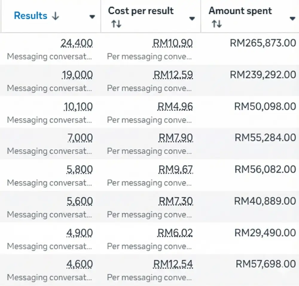 Meta Ads campaign results